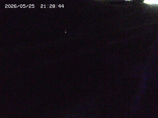 加茂川２2026/05/25 21:40:00