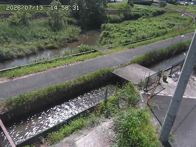加茂川２2026/07/14 15:20:00