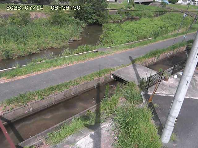 加茂川２2026/07/14 15:20:00