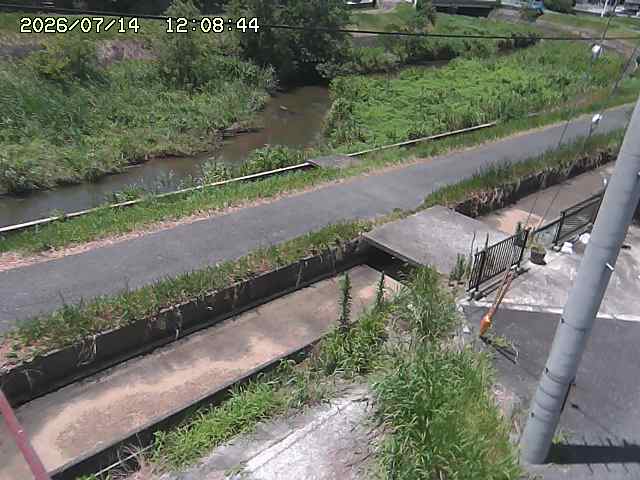 加茂川２2026/07/14 15:20:00