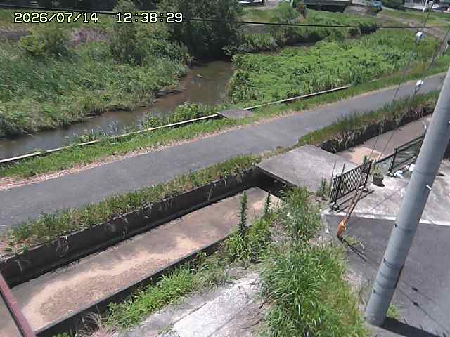 加茂川２2026/07/14 15:20:00