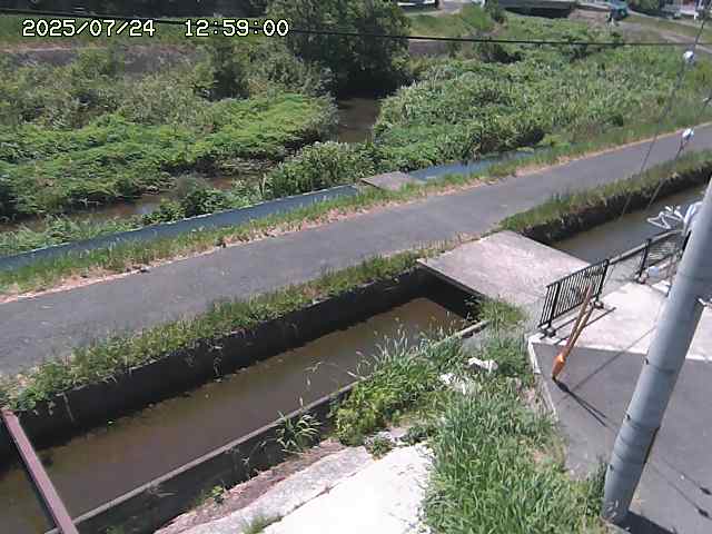 加茂川２2025/07/25 13:20:00