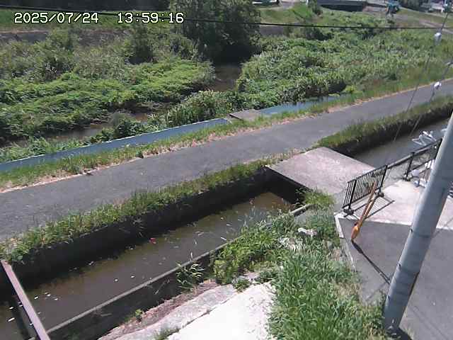 加茂川２2025/07/25 13:20:00