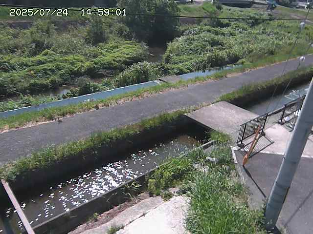 加茂川２2025/07/25 13:20:00