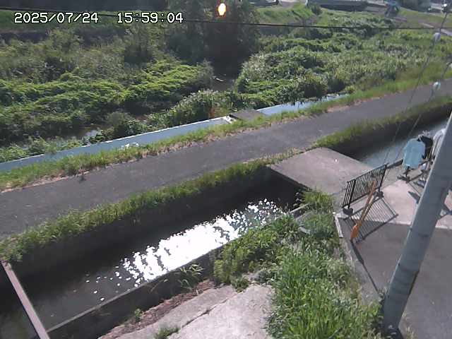 加茂川２2025/07/25 13:20:00