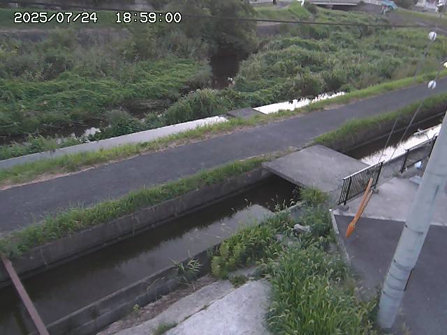加茂川２2025/07/25 13:20:00