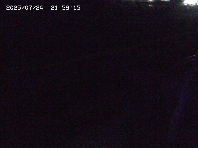 加茂川２2025/07/25 13:20:00