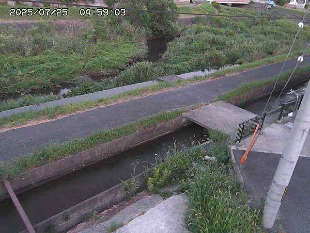 加茂川２2025/07/25 13:20:00
