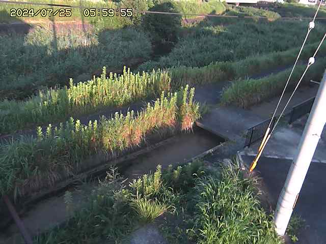 加茂川２2025/07/25 13:20:00