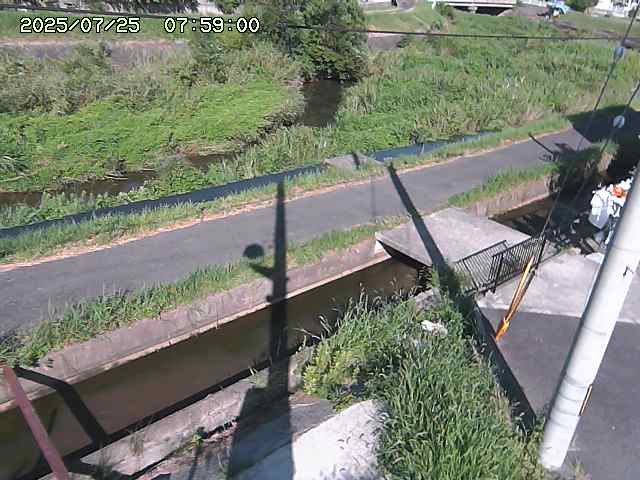 加茂川２2025/07/25 13:20:00