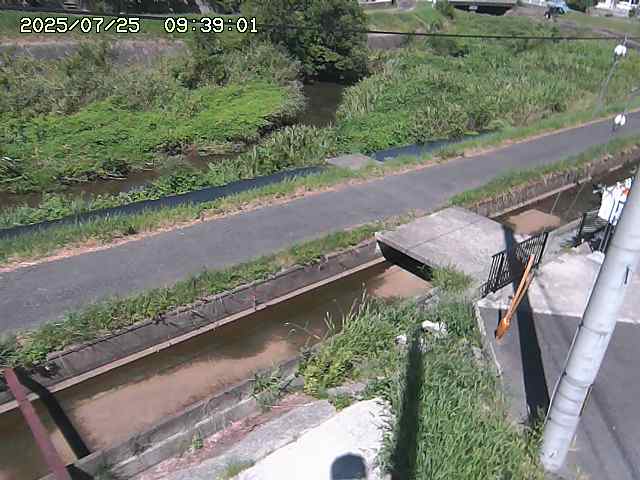 加茂川２2025/07/25 13:20:00