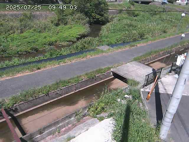 加茂川２2025/07/25 13:20:00