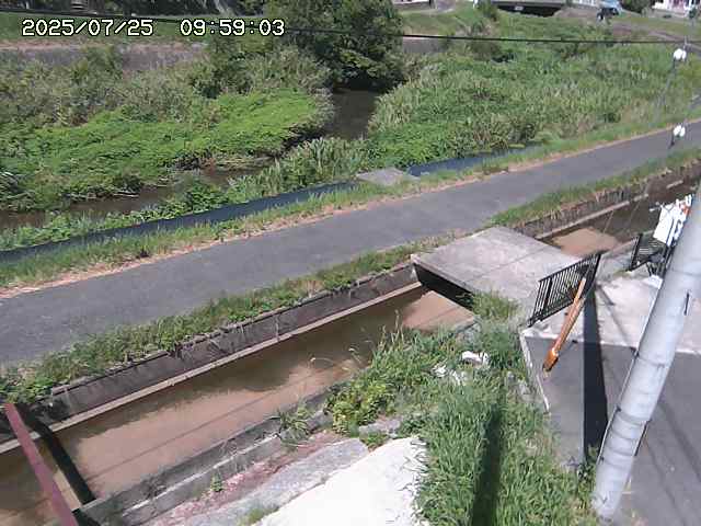 加茂川２2025/07/25 13:20:00