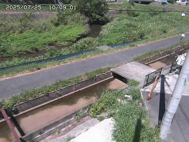加茂川２2025/07/25 13:20:00
