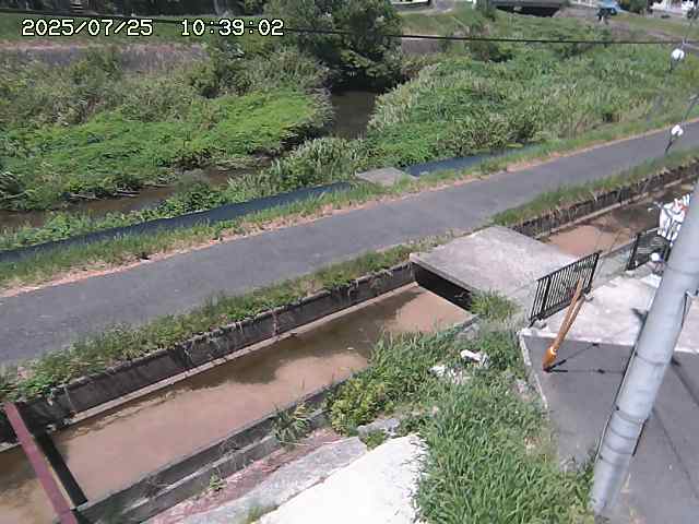 加茂川２2025/07/25 13:20:00