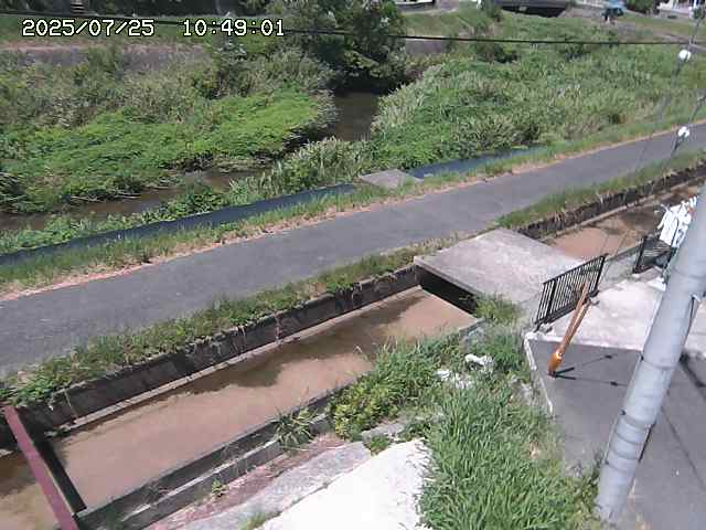 加茂川２2025/07/25 13:20:00