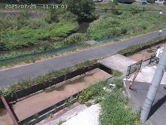 加茂川２2025/07/25 13:20:00