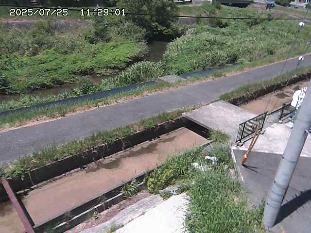 加茂川２2025/07/25 13:20:00