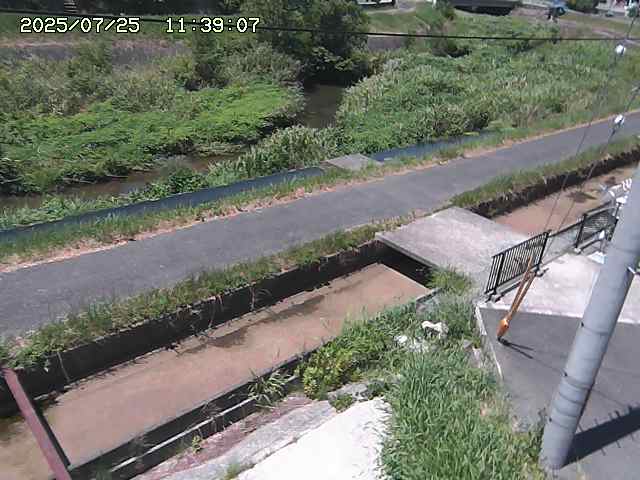 加茂川２2025/07/25 13:20:00