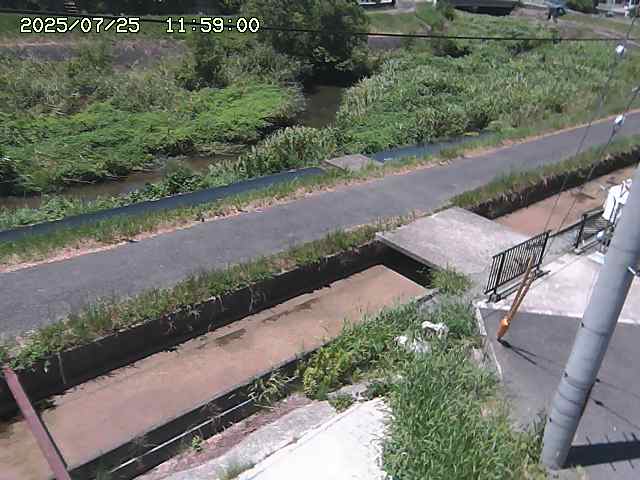 加茂川２2025/07/25 13:20:00