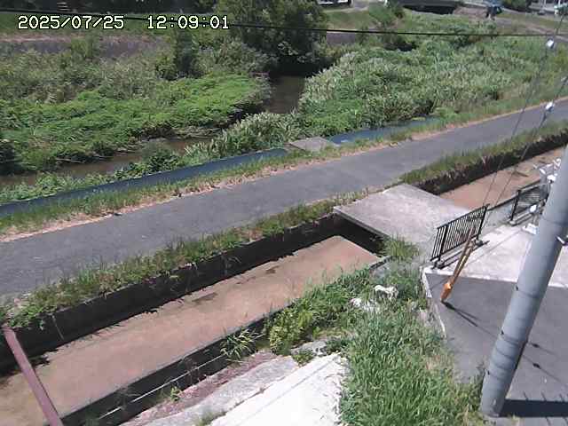 加茂川２2025/07/25 13:20:00