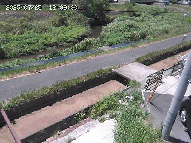 加茂川２2025/07/25 13:20:00