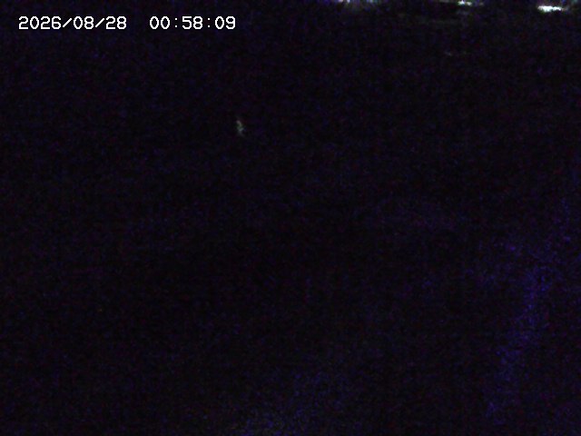 加茂川２2026/08/28 17:30:00