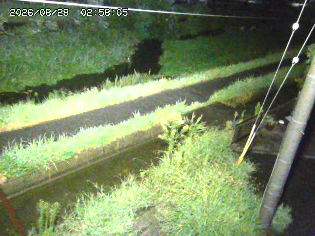 加茂川２2026/08/28 17:30:00