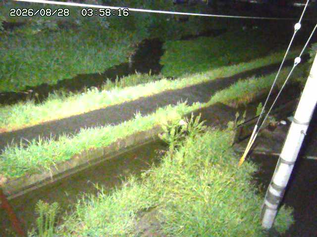 加茂川２2026/08/28 17:30:00
