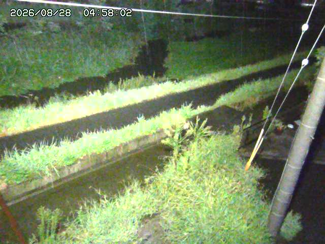 加茂川２2026/08/28 17:30:00