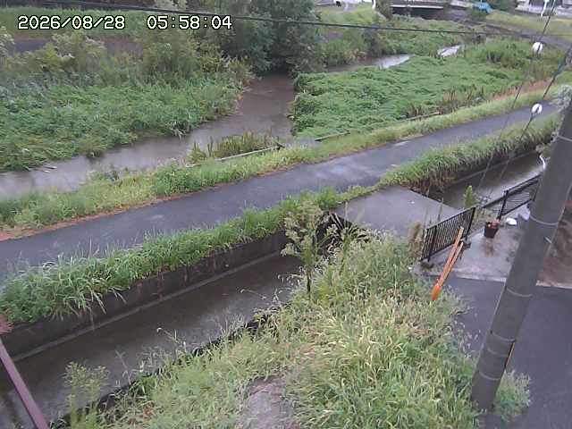 加茂川２2026/08/28 17:30:00