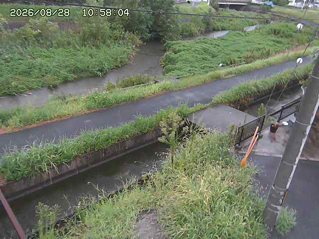 加茂川２2026/08/28 17:30:00