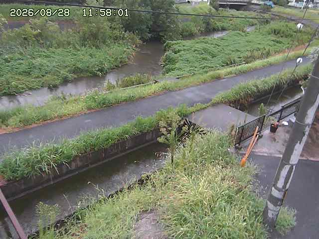 加茂川２2026/08/28 17:30:00