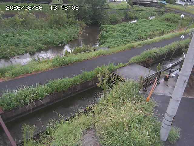 加茂川２2026/08/28 17:30:00