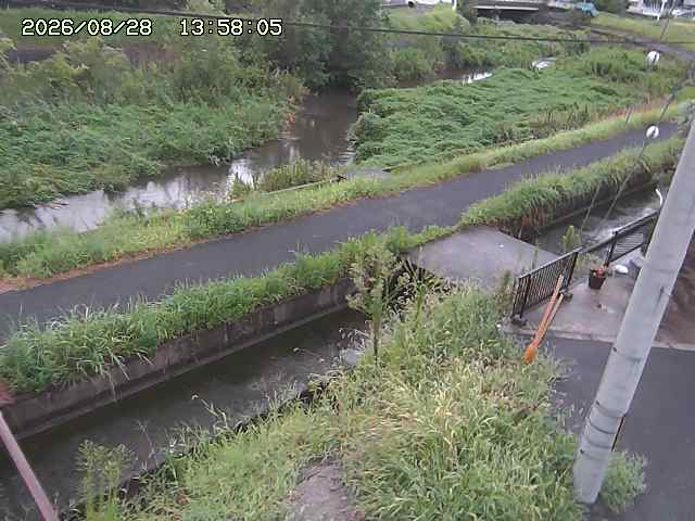 加茂川２2026/08/28 17:30:00
