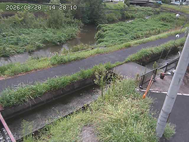 加茂川２2026/08/28 17:30:00
