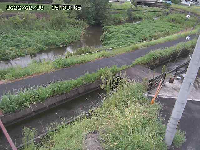 加茂川２2026/08/28 17:30:00