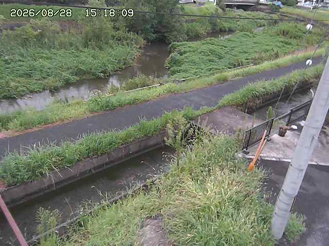加茂川２2026/08/28 17:30:00