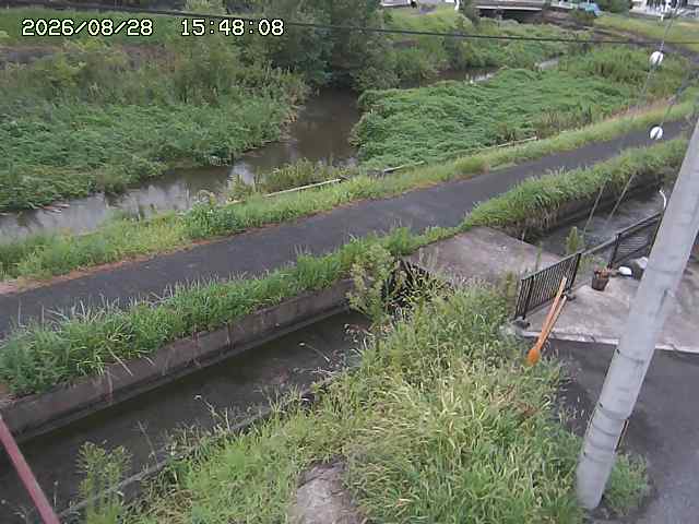 加茂川２2026/08/28 17:30:00