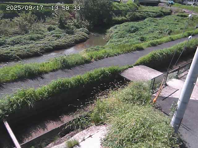 加茂川２2025/09/18 14:50:00