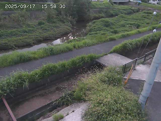 加茂川２2025/09/18 14:50:00