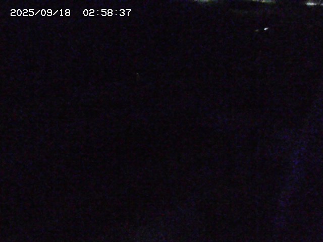 加茂川２2025/09/18 14:50:00