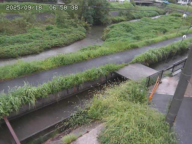 加茂川２2025/09/18 14:50:00