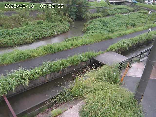 加茂川２2025/09/18 14:50:00