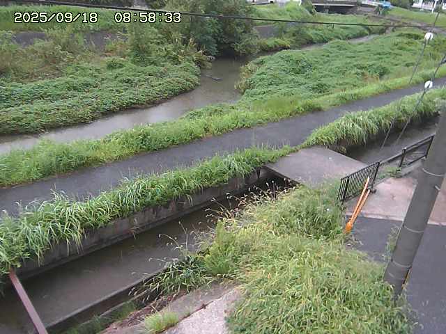 加茂川２2025/09/18 14:50:00