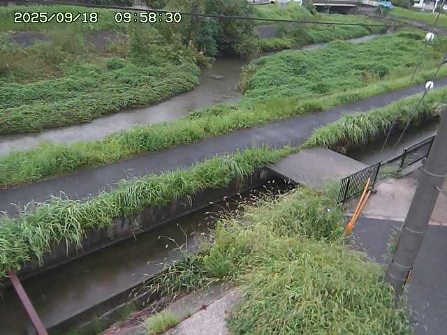 加茂川２2025/09/18 14:50:00