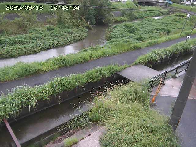 加茂川２2025/09/18 14:50:00