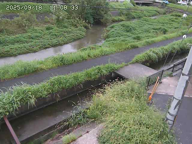加茂川２2025/09/18 14:50:00