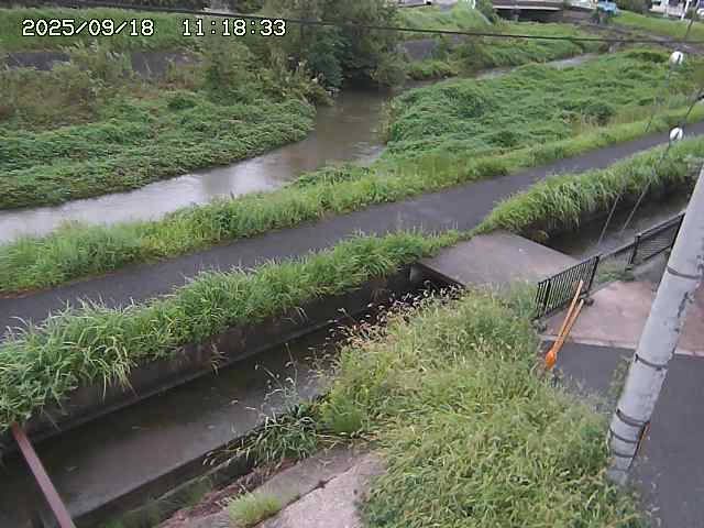加茂川２2025/09/18 14:50:00