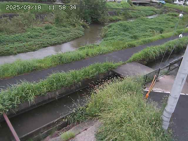 加茂川２2025/09/18 14:50:00
